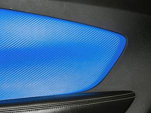 2010-11 Camaro Door Inserts and Dash Trims Carbon Fiber Faux Color Leather-232323232%7Ffp539%3B9_nu%3D79%3B%3B_6_9_258_wsnrcg%3D33_87573_3349nu0mrj.jpg