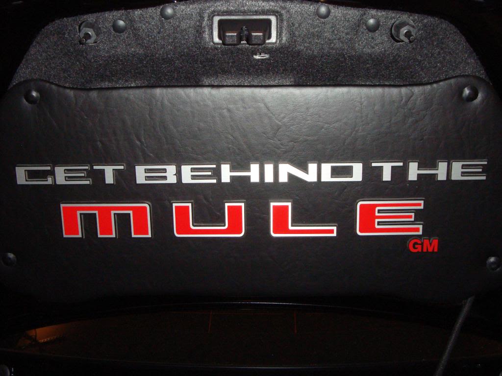 Name: mule.jpg
Views: 266
Size: 83.1 KB