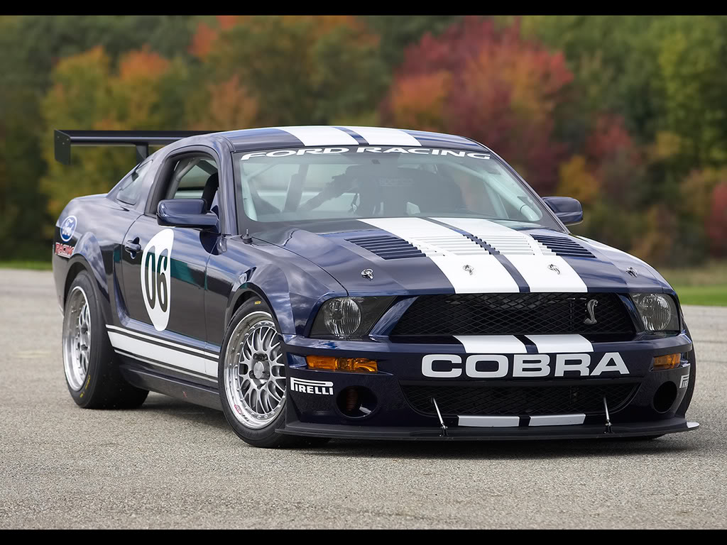 Name:  2006-Ford-Mustang-FR500-GT-Front-Angle-1024x768.jpg
Views: 45
Size:  166.9 KB