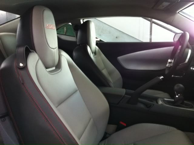 Name:  seats.jpg
Views: 26
Size:  32.3 KB
