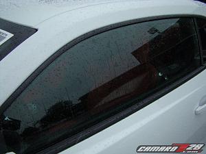**SUMMIT WHITE** 2010 Camaros Spotted in US...on Detroit Dealer Lot!  PICS INSIDE!-2010camarowhite_5.jpg