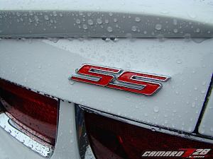 **SUMMIT WHITE** 2010 Camaros Spotted in US...on Detroit Dealer Lot!  PICS INSIDE!-2010camarowhite_10.jpg