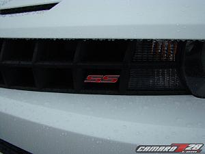 **SUMMIT WHITE** 2010 Camaros Spotted in US...on Detroit Dealer Lot!  PICS INSIDE!-2010camarowhite_12.jpg