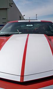 2010 Camaro Indy Pace Car Pics!-new-pics-421.jpg
