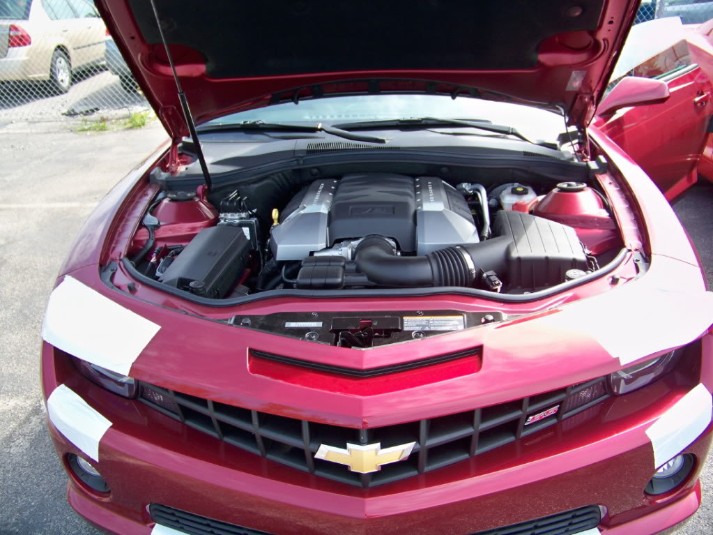 Name: 100_0714.jpg
Views: 64
Size: 144.8 KB
