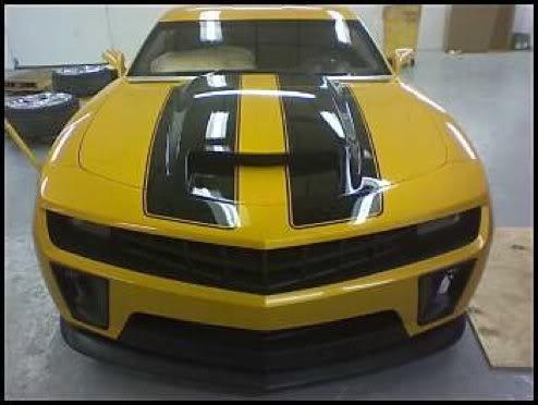 Name:  Bumblebee2.jpg
Views: 16
Size:  26.3 KB