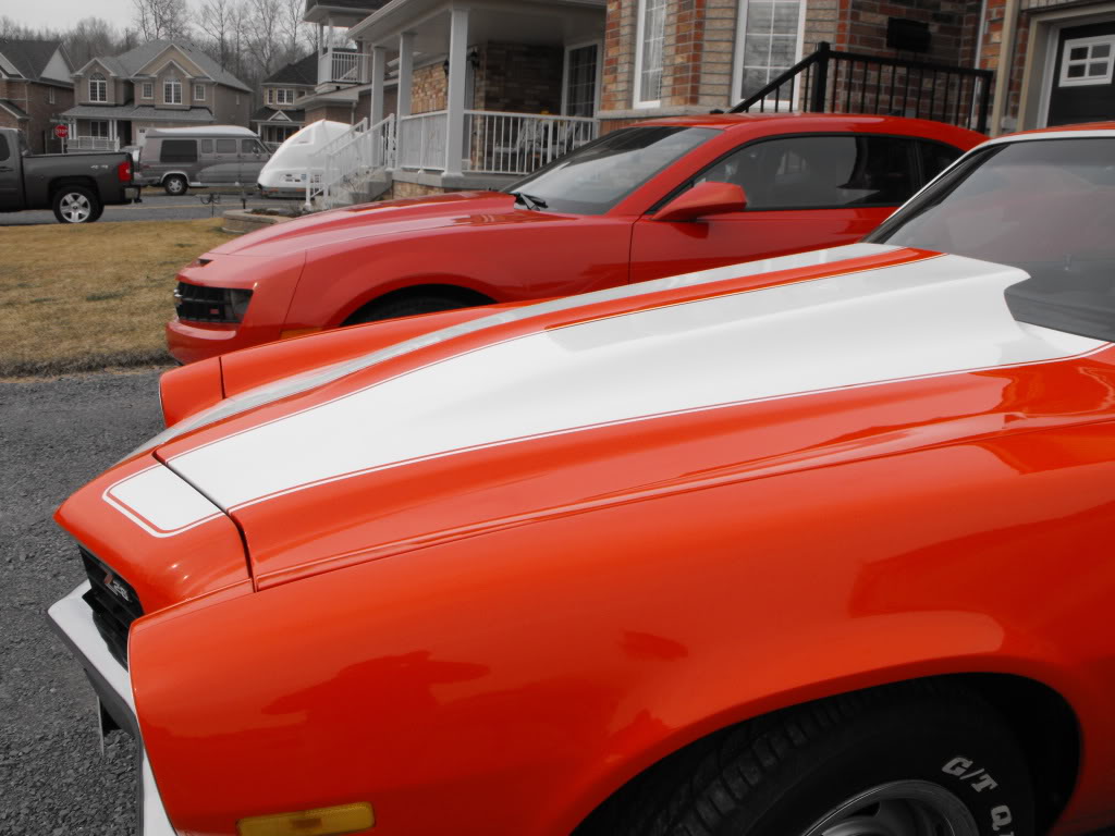 Name: OrangeCamaros010.jpg
Views: 168
Size: 111.7 KB