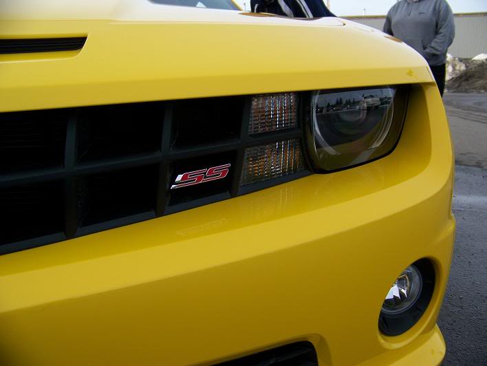 Name:  RobCamaro006.jpg
Views: 19
Size:  42.3 KB