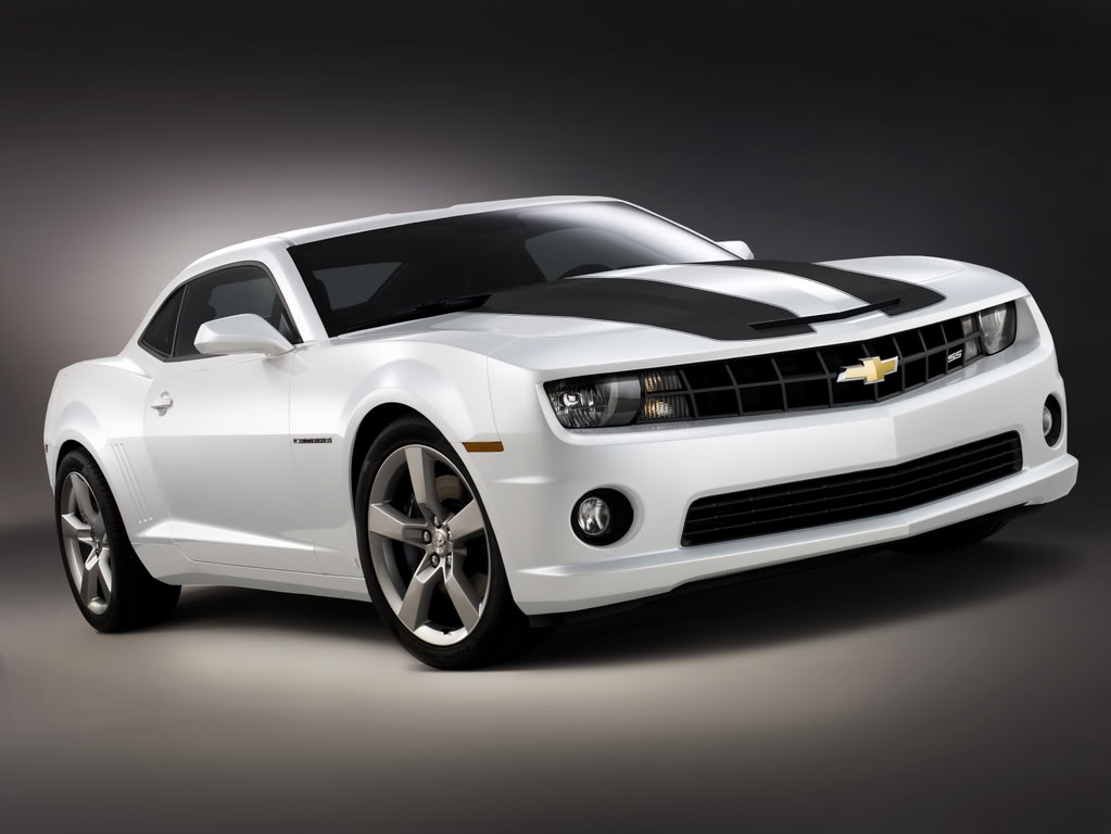 Name:  SSWhitewBlackStripes.jpg
Views: 10
Size:  69.7 KB