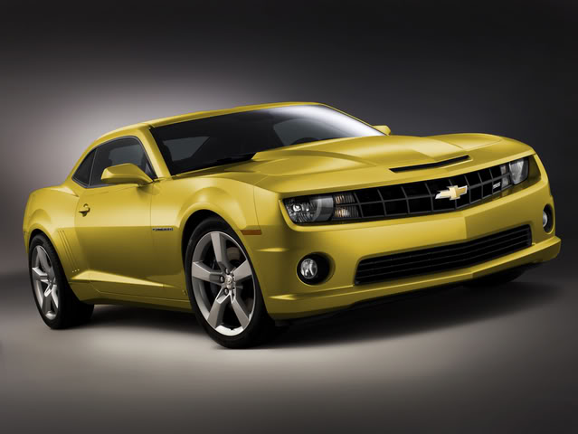 Name:  SSRallyYellow.jpg
Views: 15
Size:  37.4 KB