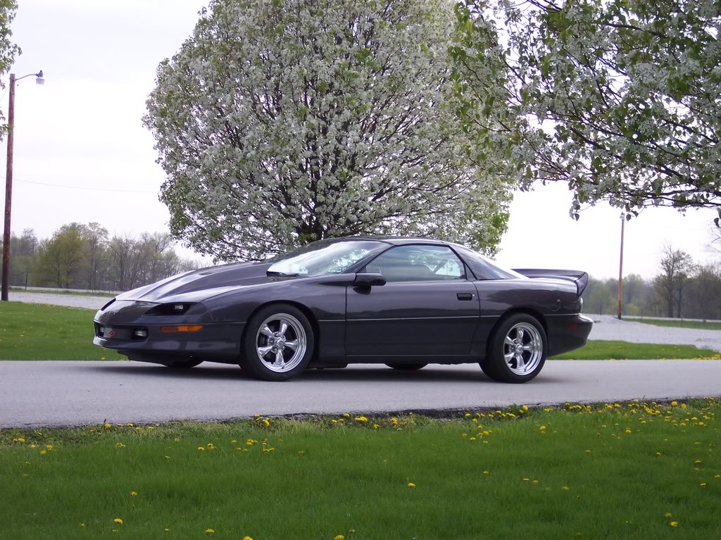 Name:  carandfloweringtree001.jpg
Views: 32
Size:  212.1 KB