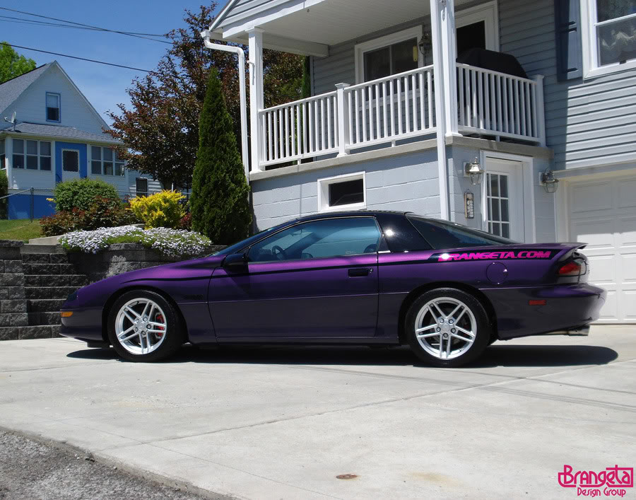 Name:  purplecamaroz28dreamcarBIGstripe.jpg
Views: 23
Size:  151.3 KB