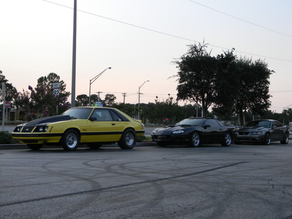 Name:  DSCN1330.jpg
Views: 16
Size:  129.2 KB