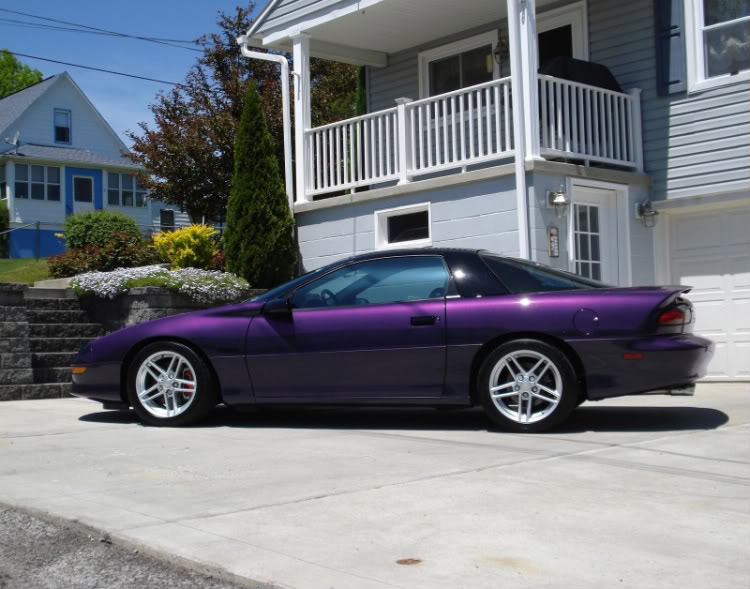 Name: purplecamaroz28dreamcarcopy.jpg
Views: 26
Size: 85.6 KB