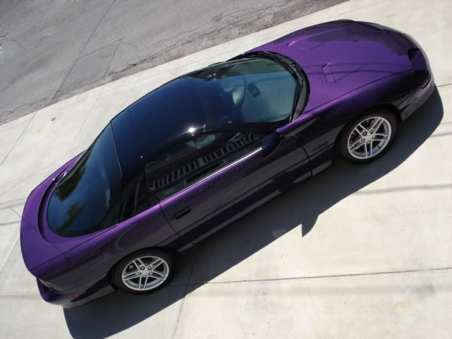 Name: purplecamaroz28dreamcaroverhead.jpg
Views: 26
Size: 43.9 KB