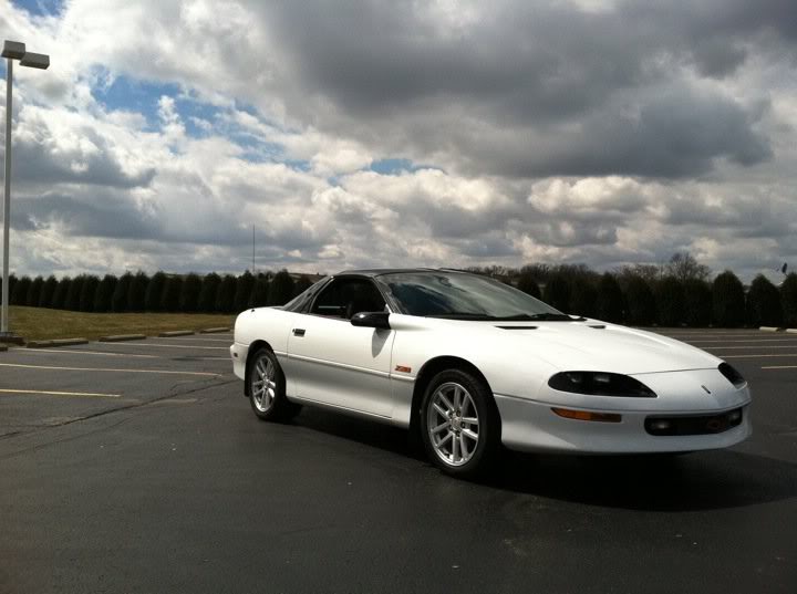 Name:  camaro4.jpg
Views: 13
Size:  45.4 KB