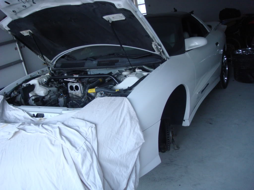 Name:  Transam281109007.jpg
Views: 107
Size:  90.0 KB