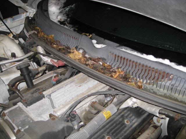 Name:  transam008.jpg
Views: 109
Size:  50.3 KB