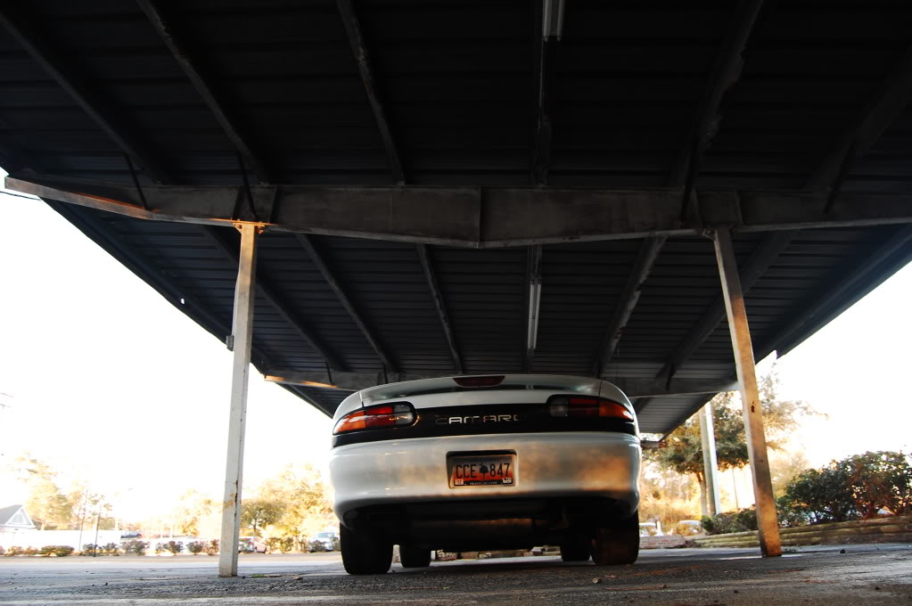 Name:  DSC_9569.jpg
Views: 23
Size:  87.2 KB