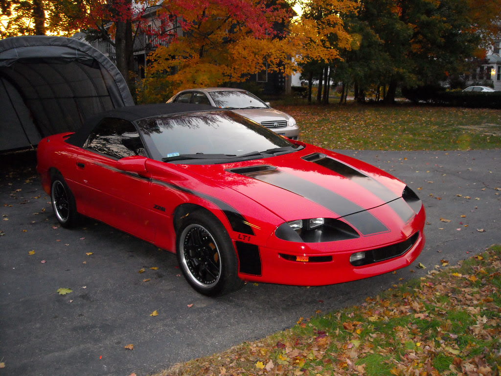 Name:  newstripes008.jpg
Views: 495
Size:  208.6 KB