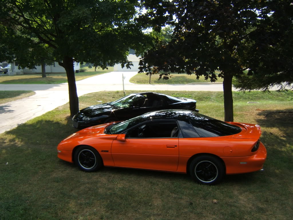 Name:  camera2010070.jpg
Views: 15
Size:  172.7 KB