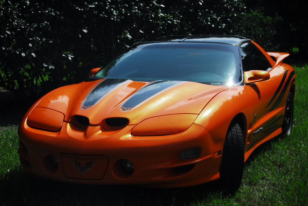 Name:  DSC_0003.jpg
Views: 1060
Size:  126.1 KB