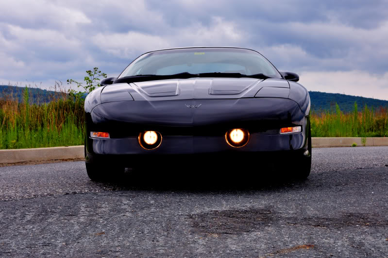 Name:  DSC_0342b.jpg
Views: 213
Size:  101.8 KB