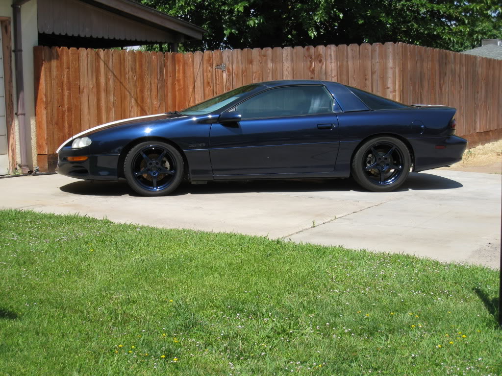 Name:  presummerZ28002.jpg
Views: 158
Size:  225.3 KB