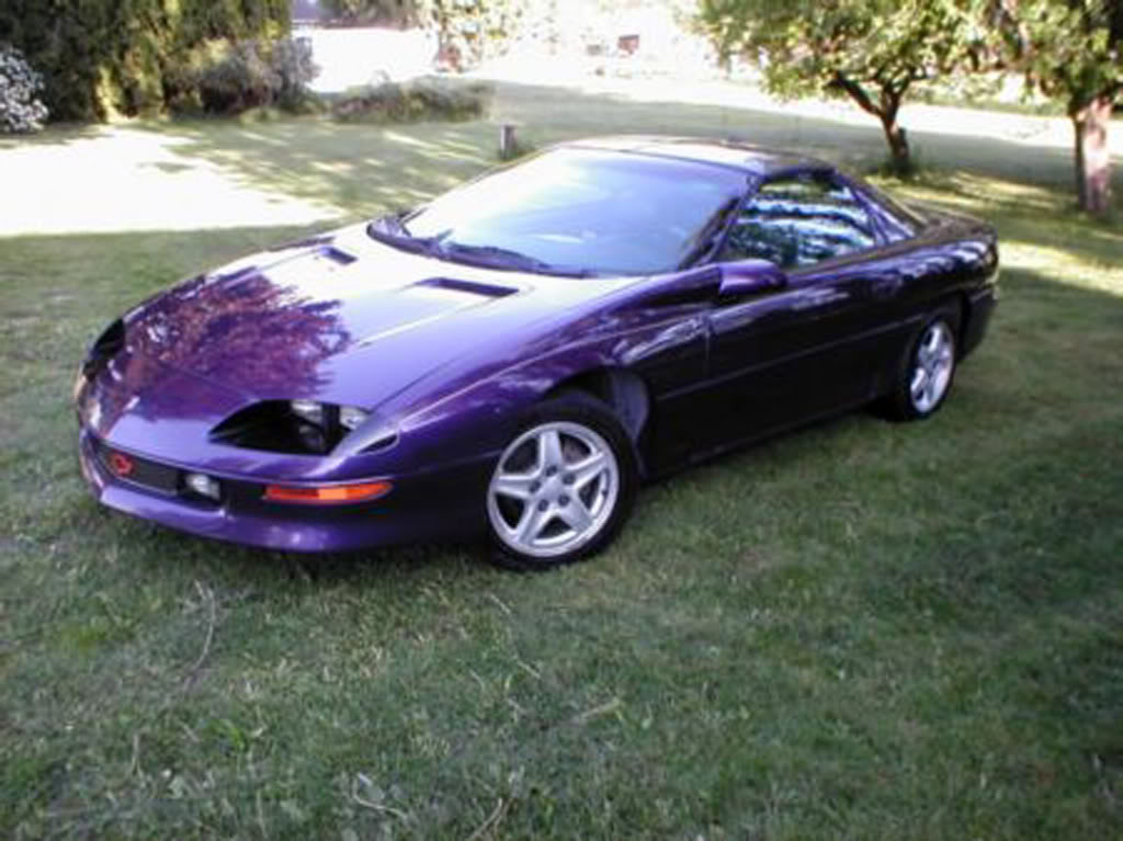 Name:  purple.jpg
Views: 2014
Size:  113.2 KB