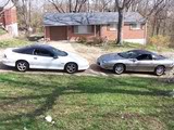 Name:  mybabysinfrontofthehouse002.jpg
Views: 12
Size:  11.3 KB