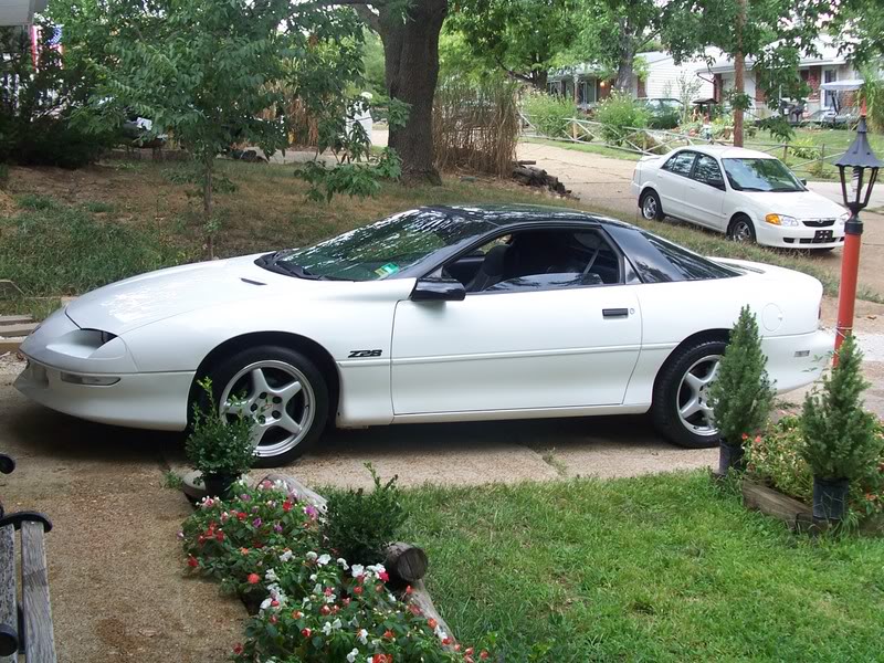 Name:  95camraropicsinfrontofthehouse003.jpg
Views: 419
Size:  156.2 KB