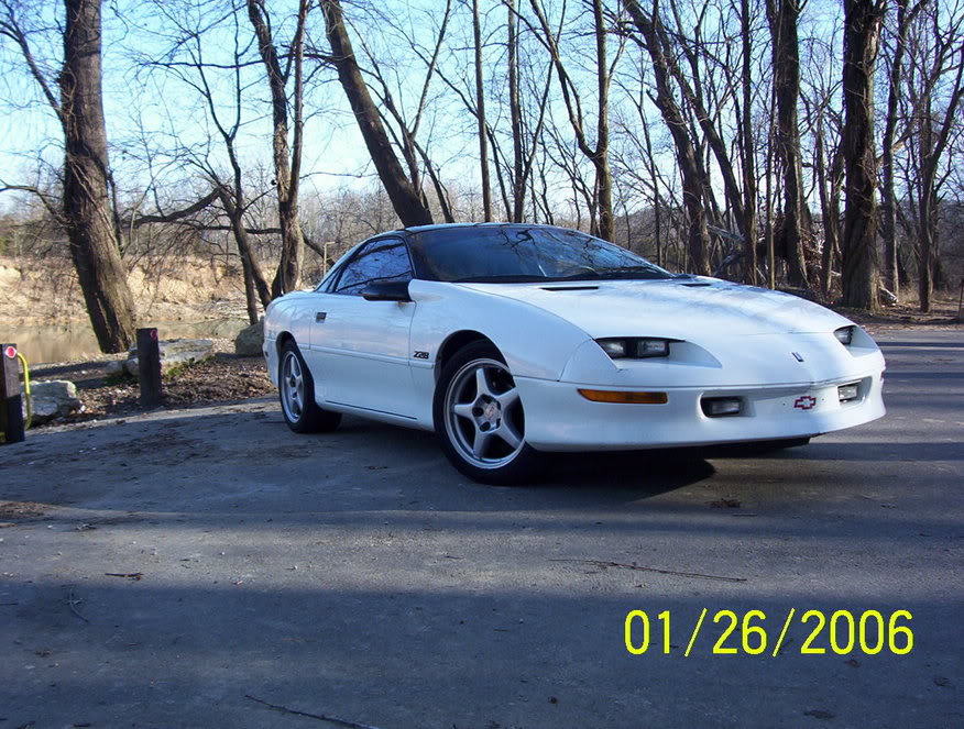 Name:  castlewoodpark012.jpg
Views: 405
Size:  156.3 KB