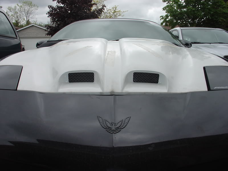 Name:  Frontviewshowinglip.jpg
Views: 16
Size:  57.0 KB