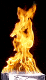 Name:  fire.gif
Views: 21
Size:  139.9 KB