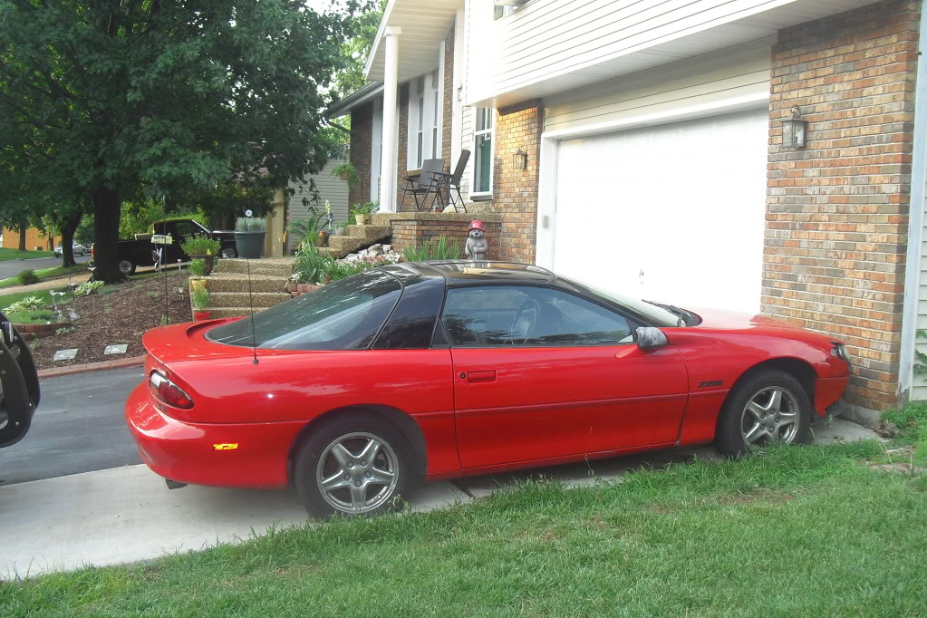 Name:  CIMG1036.jpg
Views: 27
Size:  191.0 KB