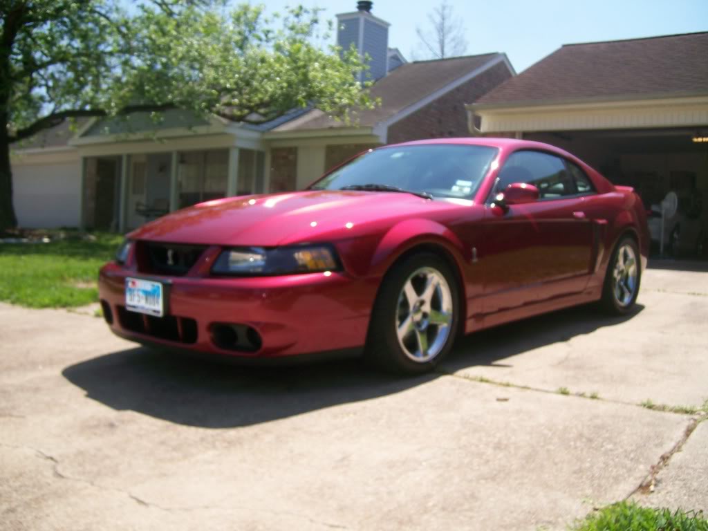 Name:  100_3319-1.jpg
Views: 230
Size:  79.5 KB