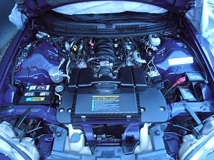 1998 Bright Purple Metallic Z28-p3280115.jpg