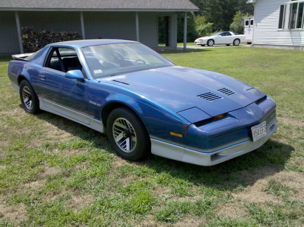 Name:  TransAmFrontRHside.jpg
Views: 420
Size:  162.1 KB