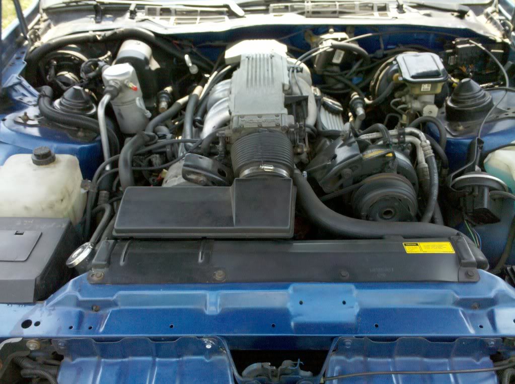 Name:  TransAmEngine.jpg
Views: 262
Size:  115.4 KB