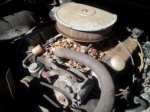 68 firebird convertible-image.jpeg