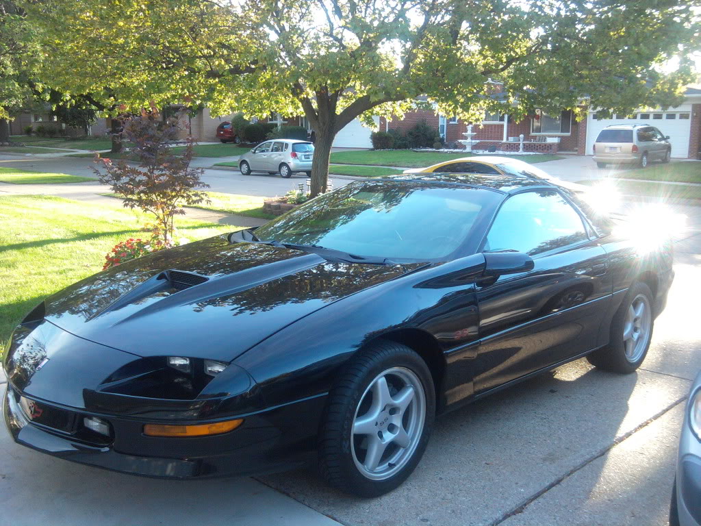 Name:  2010-10-04181137.jpg
Views: 517
Size:  276.2 KB