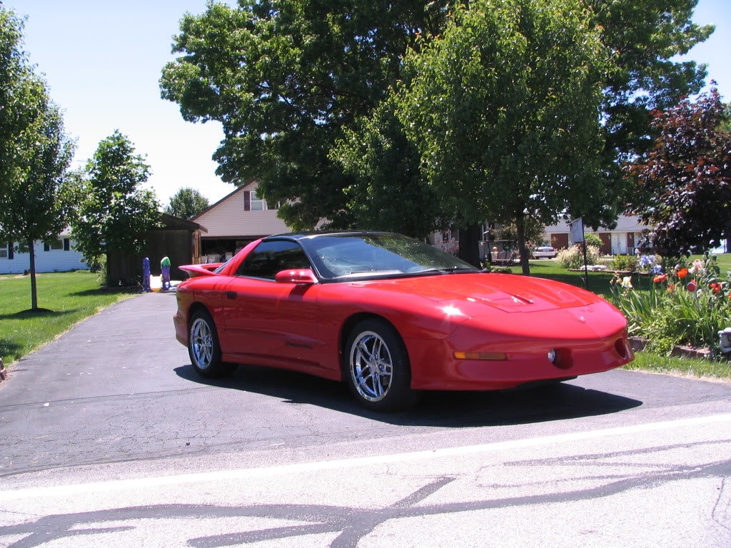 Name:  TransAm006.jpg
Views: 27
Size:  251.6 KB
