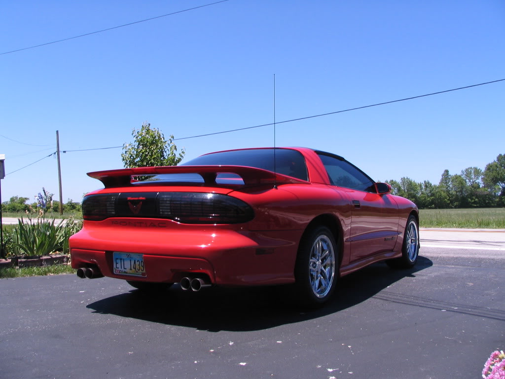 Name:  TransAm007.jpg
Views: 25
Size:  107.6 KB