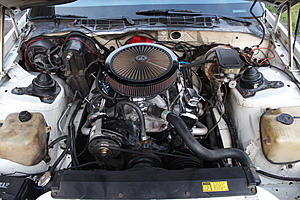 (MI) Pontiac Trans Am 15th Anniversary Edition-img_3335.jpg