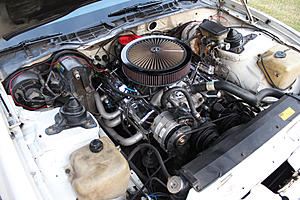 (MI) Pontiac Trans Am 15th Anniversary Edition-img_3337.jpg