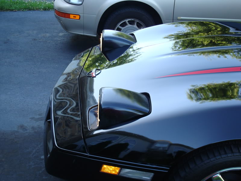 Name:  hood050.jpg
Views: 14
Size:  80.8 KB