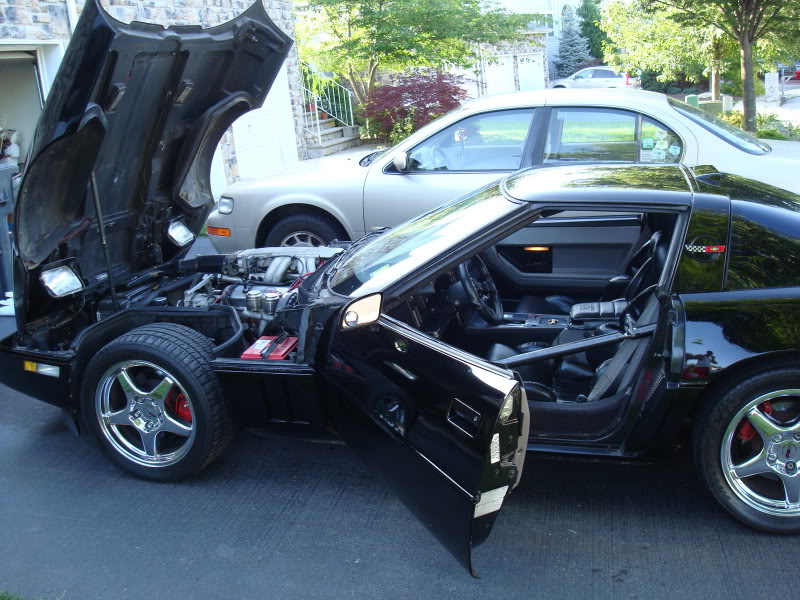 Name:  hood033.jpg
Views: 10
Size:  136.8 KB