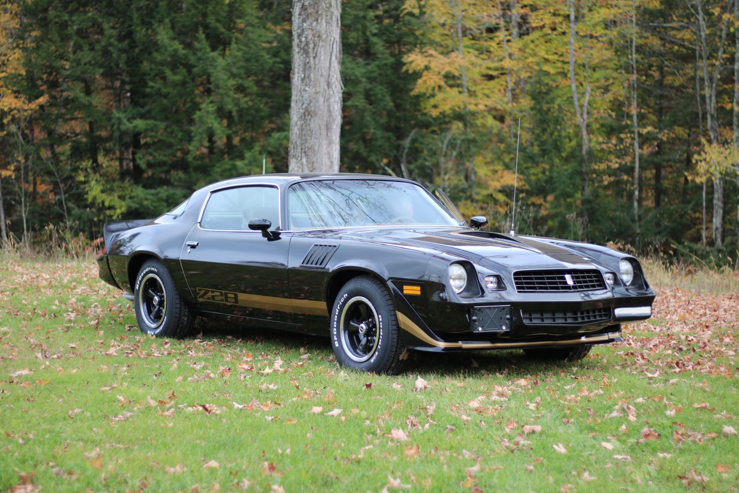 Name:  79%20Camaro%20Z28%20001.jpg
Views: 813
Size:  315.2 KB