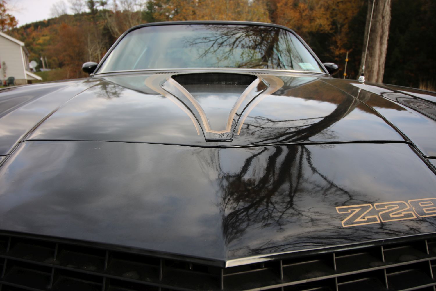 Name:  79%20Camaro%20Z28%20037.jpg
Views: 587
Size:  178.8 KB