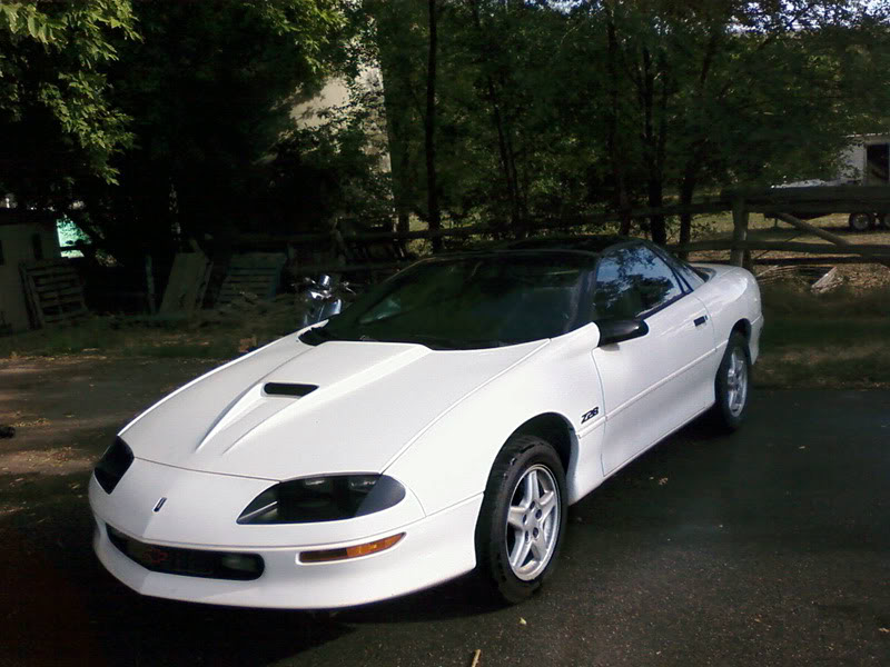 Name:  PIC-00201.jpg
Views: 28
Size:  88.4 KB